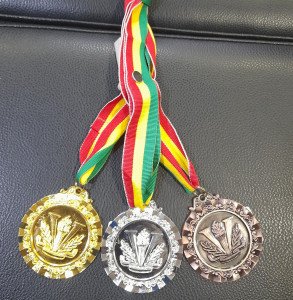 H24044281-G Medal VICTORY Gold