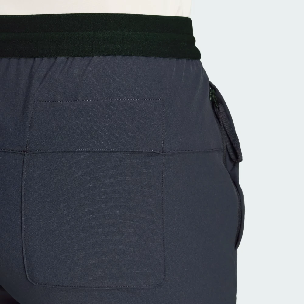 Terrex Liteflex Hiking Pants