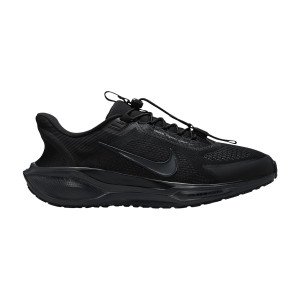 Nike Pegasus EasyOn