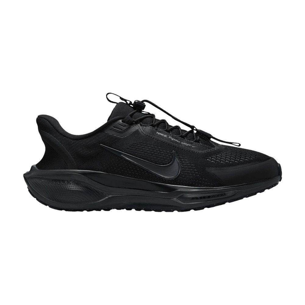 Nike Pegasus EasyOn