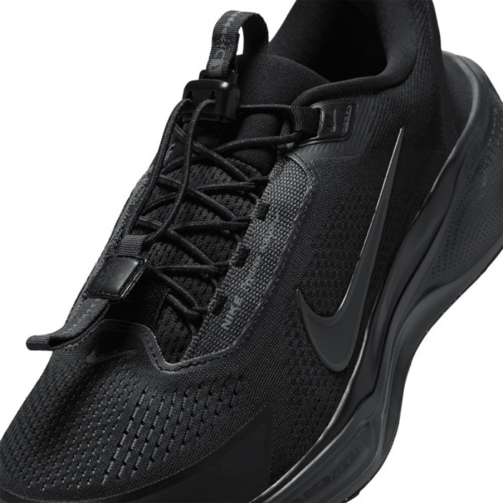 Nike Pegasus EasyOn