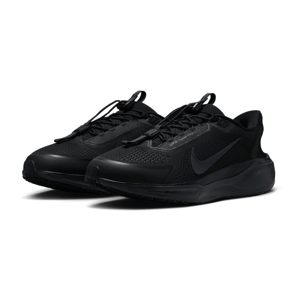 Nike Pegasus EasyOn