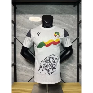 Maillot Bénin extérieur 2025/2026