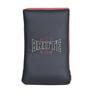 Bouclier de frappe incurvé